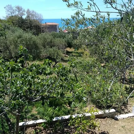 Tatil Evi Thalia - Pisciotta/palinuro Pisciotta